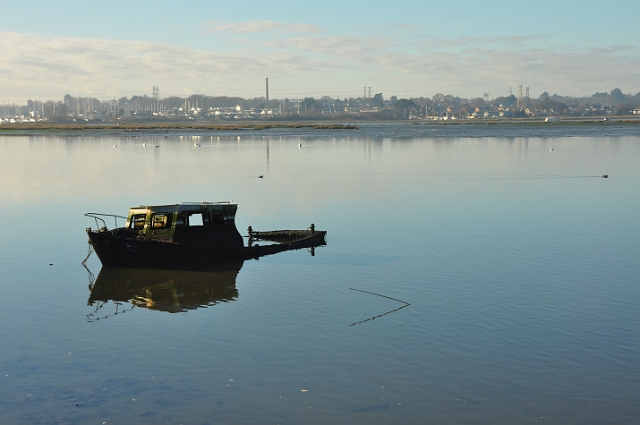 30 12 14_0138.JPG - DWT WALK - HOLES BAY, POOLE HARBOUR DORSET - 30.12.14